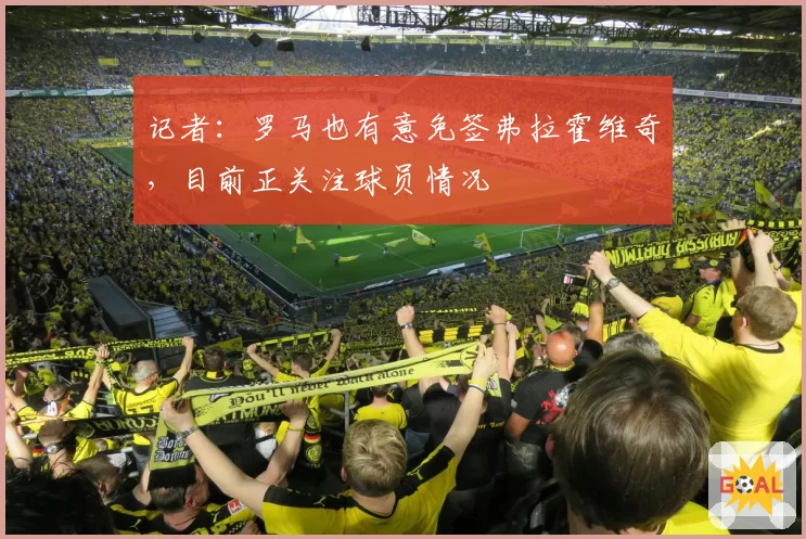 记者：罗马也有意免签弗拉霍维奇，目前正关注球员情况
