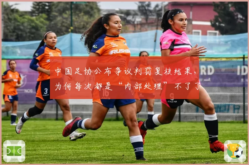 中国足协公布争议判罚复核结果，为何每次都是“内部处理”不了了之？