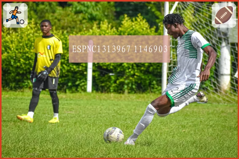 ESPNC1313967 1146903