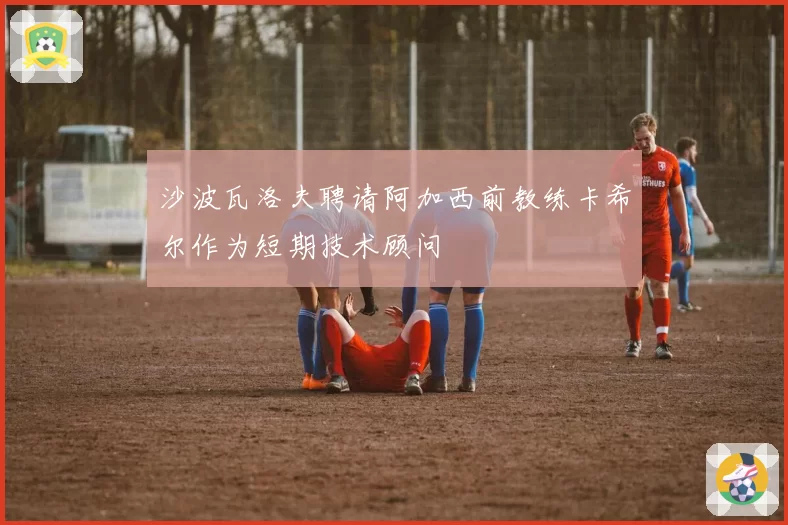 沙波瓦洛夫聘请阿加西前教练卡希尔作为短期技术顾问