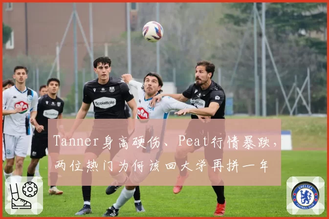 Tanner身高硬伤、Peat行情暴跌，两位热门为何该回大学再拼一年
